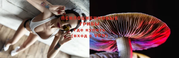 твердый Кукмор