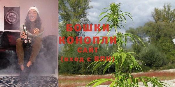 apvp Краснослободск