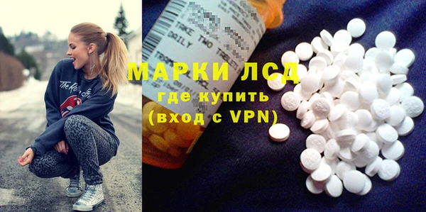 стаф Кулебаки