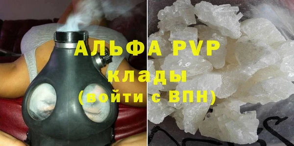 стаф Кулебаки